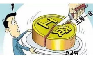 湛江社保代理服務全解析 專業機構助您便捷繳納
